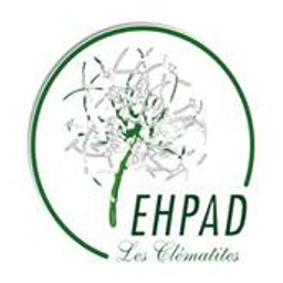 Logo présenté sur le site de la structure