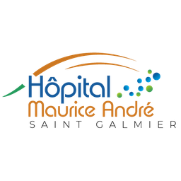 Logo présenté sur le site de la structure