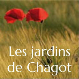 Logo présenté sur le site de la structure