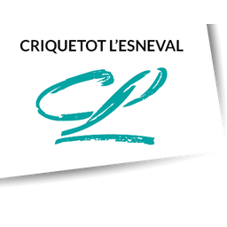 Logo présenté sur le site de la structure
