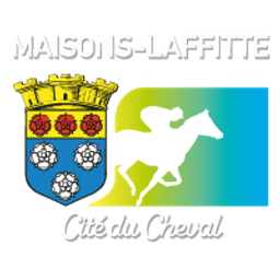 Logo présenté sur le site de la structure